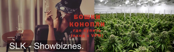 не бодяженный Дмитриев